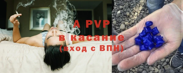 PSILOCYBIN Сафоново